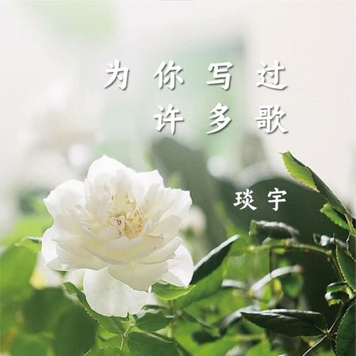 为你写过许多歌