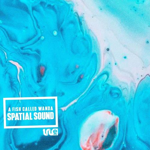 Spatial Sound