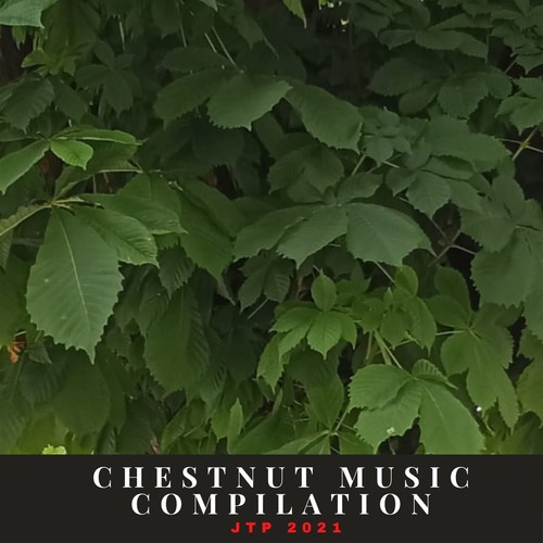 Chestnut Music Compilation Jtp 2021 (Explicit)