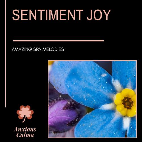 Sentiment Joy - Amazing Spa Melodies