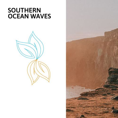 Southern Ocean Waves