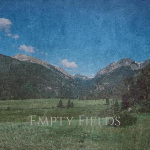 Empty Fields