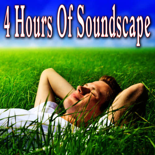 4 Hours of Soundscape: Relaxation and Meditation Music with Nature Sounds