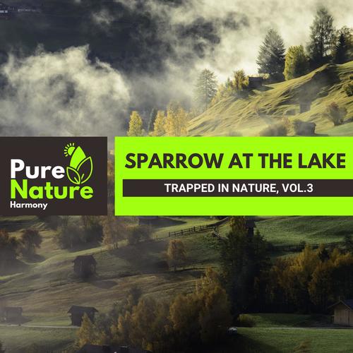 Sparrow at The Lake - Trapped in Nature, Vol.3