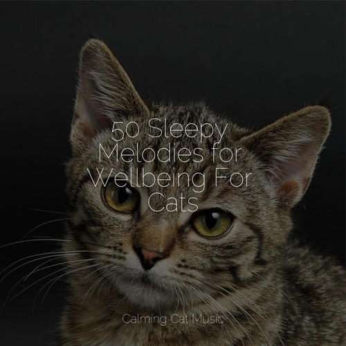 50 Sleepy Melodies for Wellbeing For Cats