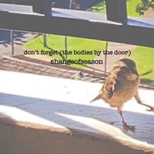 don't forget (the bodies by the door) [Explicit]