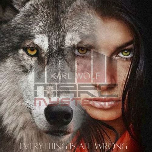 Everything Is All Wrong (feat. Karl Wolf) [Radio Edit]