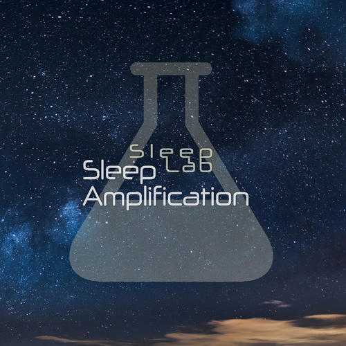 Sleep Amplification