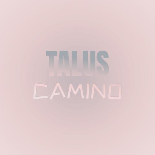 Talus Camino