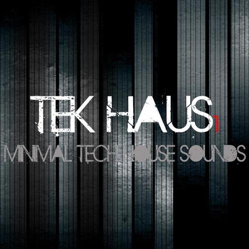 TEK Haus Vol.1 (Minimal Tech House Sounds)