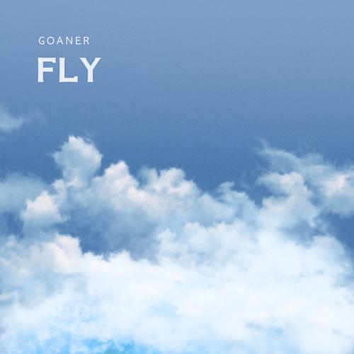 Fly