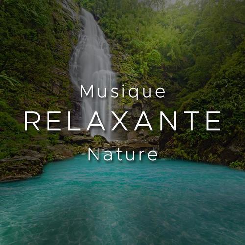 Musique Relaxante Nature