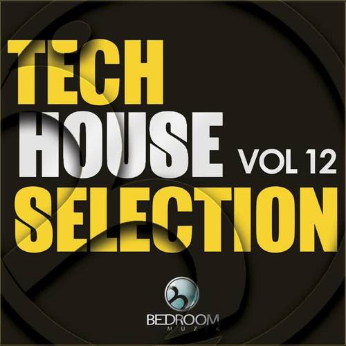 Tech House Selection, Vol. 12