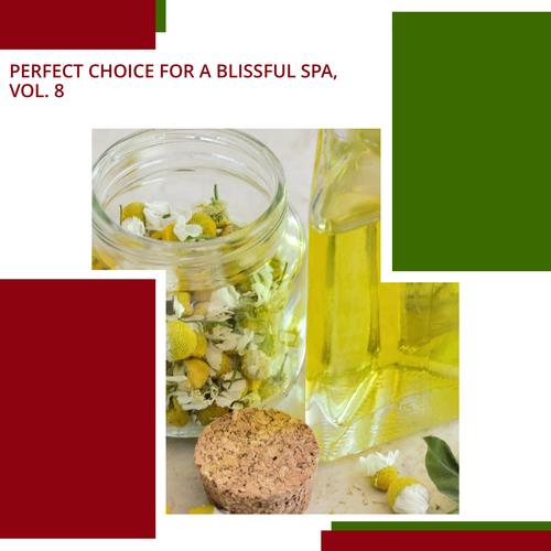 Perfect Choice For A Blissful Spa, Vol. 8