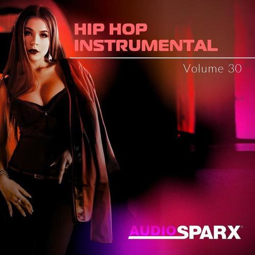 Hip Hop Instrumental Volume 30