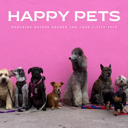 Happy Pets: Soothing Nature Sounds For Your Little Pets