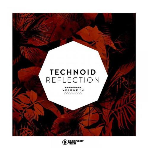 Technoid Reflection, Vol. 14