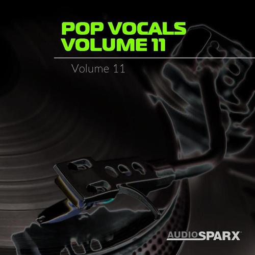 Pop Vocals Volume 11