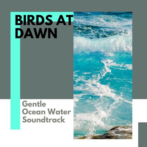 Birds at Dawn - Gentle Ocean Water Soundtrack