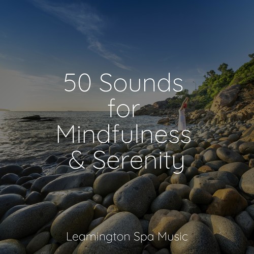 50 Sounds for Mindfulness & Serenity