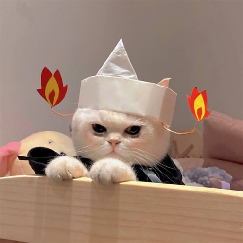 回不到当初了