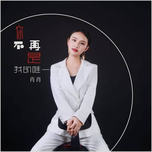 你不再是我的唯一