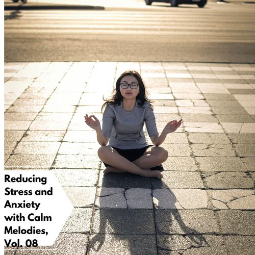 Reducing Stress And Anxiety With Calm Melodies, Vol. 08