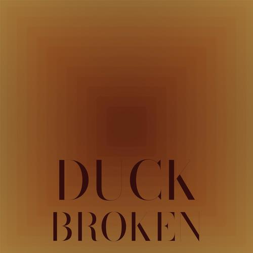 Duck Broken