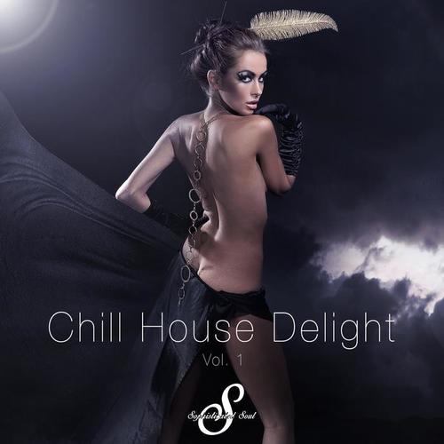 Chill House Delight, Vol. 1