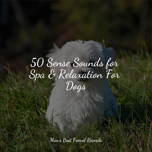 50 Sense Sounds for Spa & Relaxation For Dogs