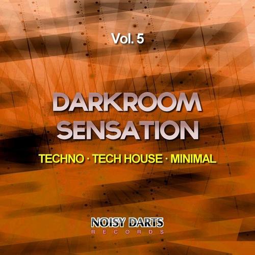 Darkroom Sensation, Vol. 5 (Techno - Tech House - Minimal)