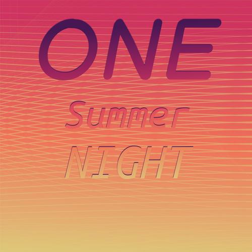 One Summer Night