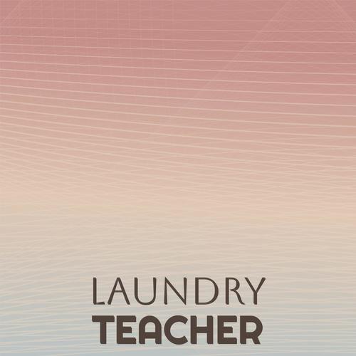 Laundry Teacher