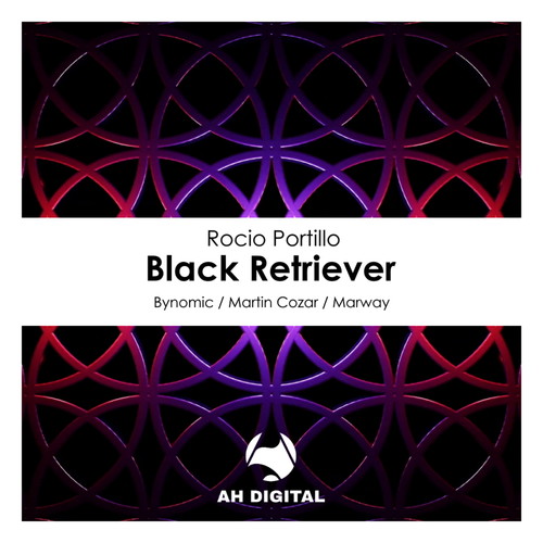 Black Retriever (Marway Remix)