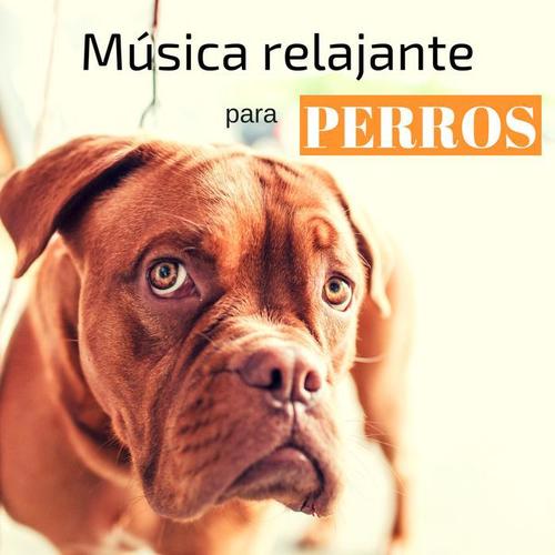 Música relajante para perros – Sonidos de la naturaleza para mascotas, gatos, antiestrés, musicoterapia, mejor sueño