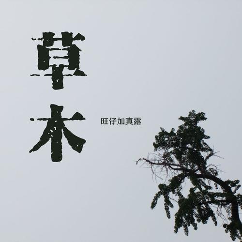 旺仔加真露-草木(吉他版).ape 下载插图