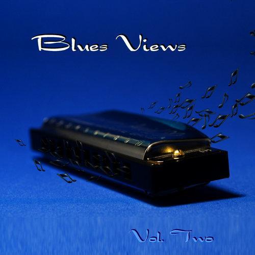 Blues Views Volume 2