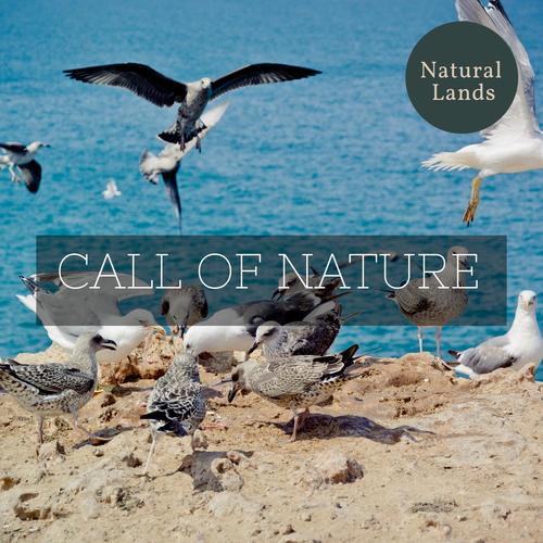 Call of Nature