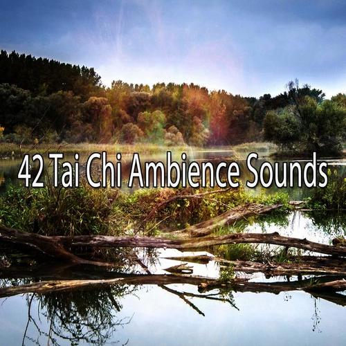 42 Tai Chi Ambience Sounds