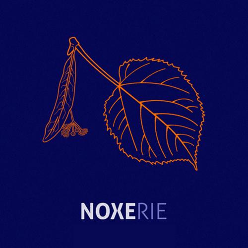 Noxerie (feat. NOSFE, Kheops, Passcall, Pazzo, Flobo, SEZ & DJ Nasa) [Explicit]