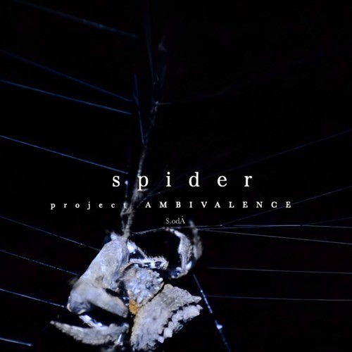 spider