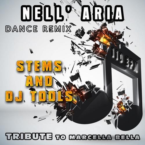 Nell'aria: Dance Remix Tribute to Marcella Bella Stems and DJ Tools (110 BPM)