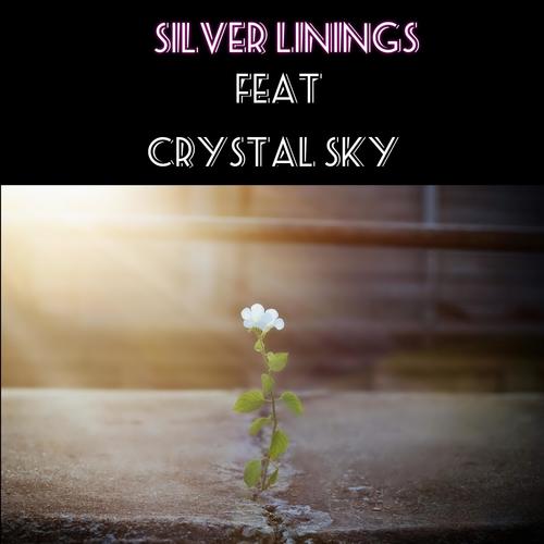 Silver Linings (feat. Crystal Sky) [Explicit]