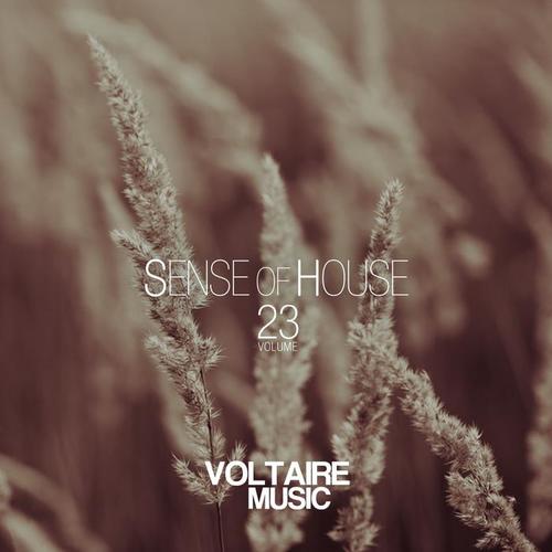 Sense of House, Vol. 23