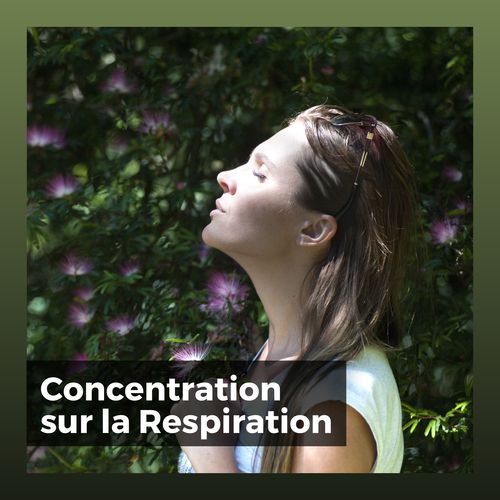 Concentration Sur La Respiration