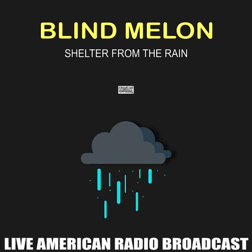 Shelter From The Rain (Live)