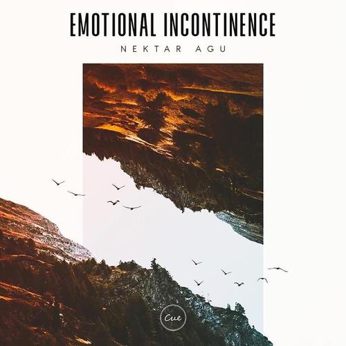 Emotional Incontinence