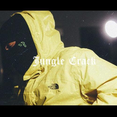 Jungle Crack