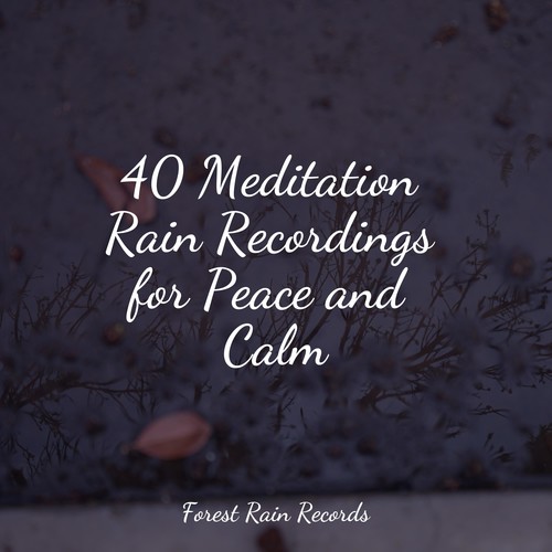 40 Meditation Rain Recordings for Peace and Calm