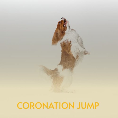 Coronation Jump